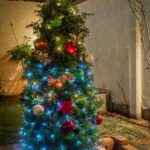 Medio ambiente extenderá periodo de acopio de árboles de navidad hasta el próximo 2 de febrero