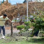 Dirección de medio ambiente cuenta con proyecto para reforestación en Nuevo Tulancingo