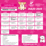 Campaña permanente de esterilización canina y felina durante julio