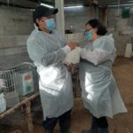 Secretaría del campo de Tulancingo emite recomendaciones para evitar enfermedad hemorrágica tipo 2 en conejos