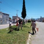 Se efectuó limpieza en las tres secciones de rincones de hacienda