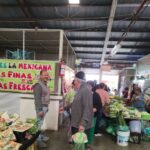 70 por ciento de avance registra censo a comerciantes de Tulancingo