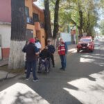 Quedan definidas acciones de mantenimiento de arbolado urbano en calzada 5 de mayo