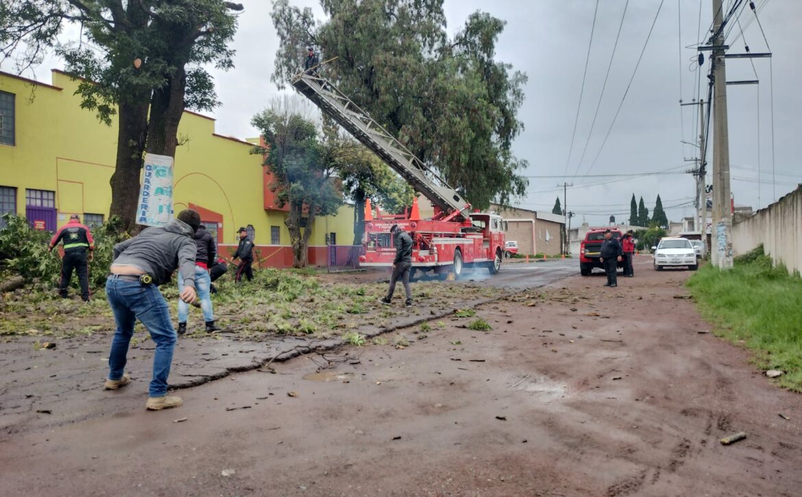 Boletin742