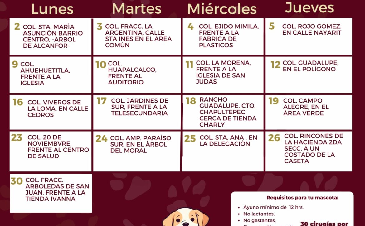 Boletin767