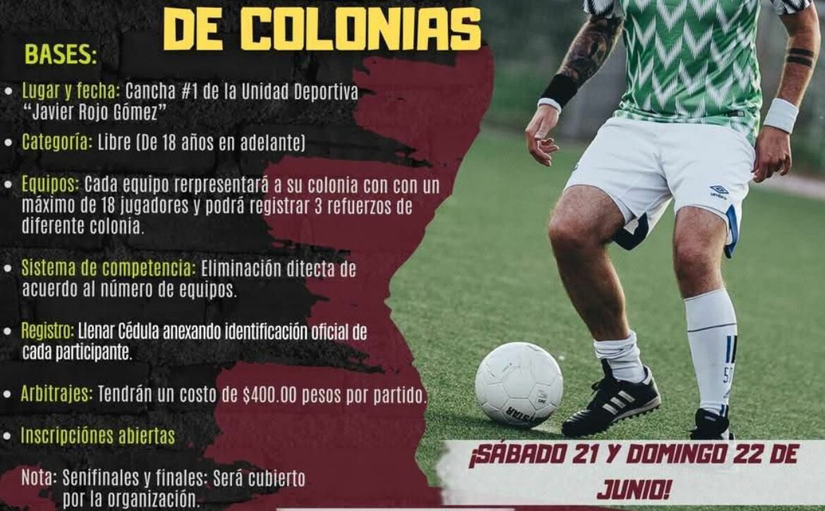 Boletin782