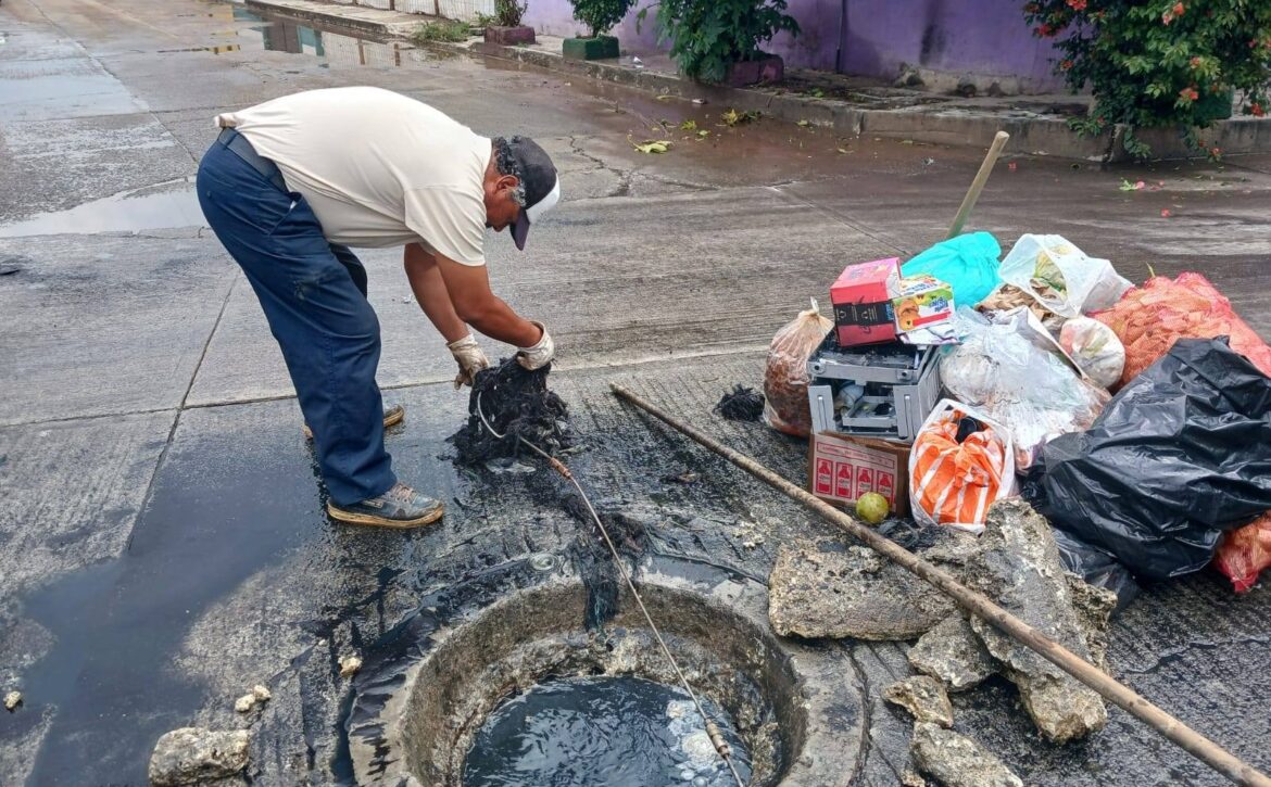 Boletin820