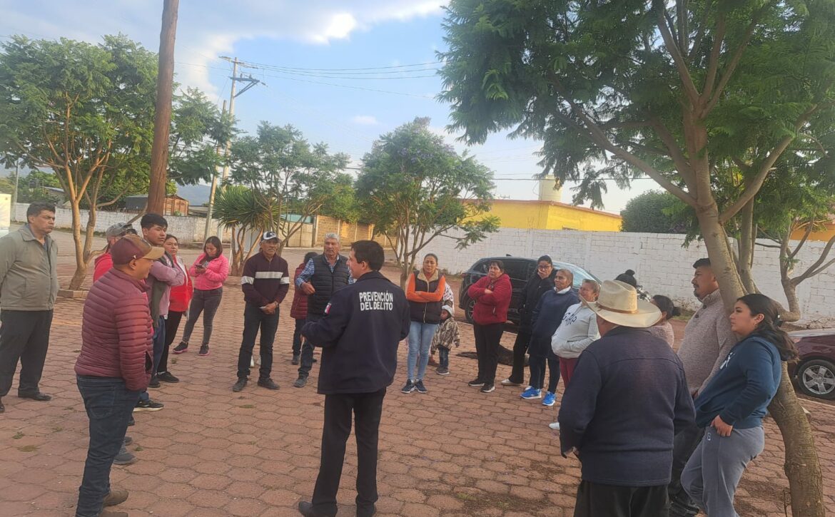 Boletin960
