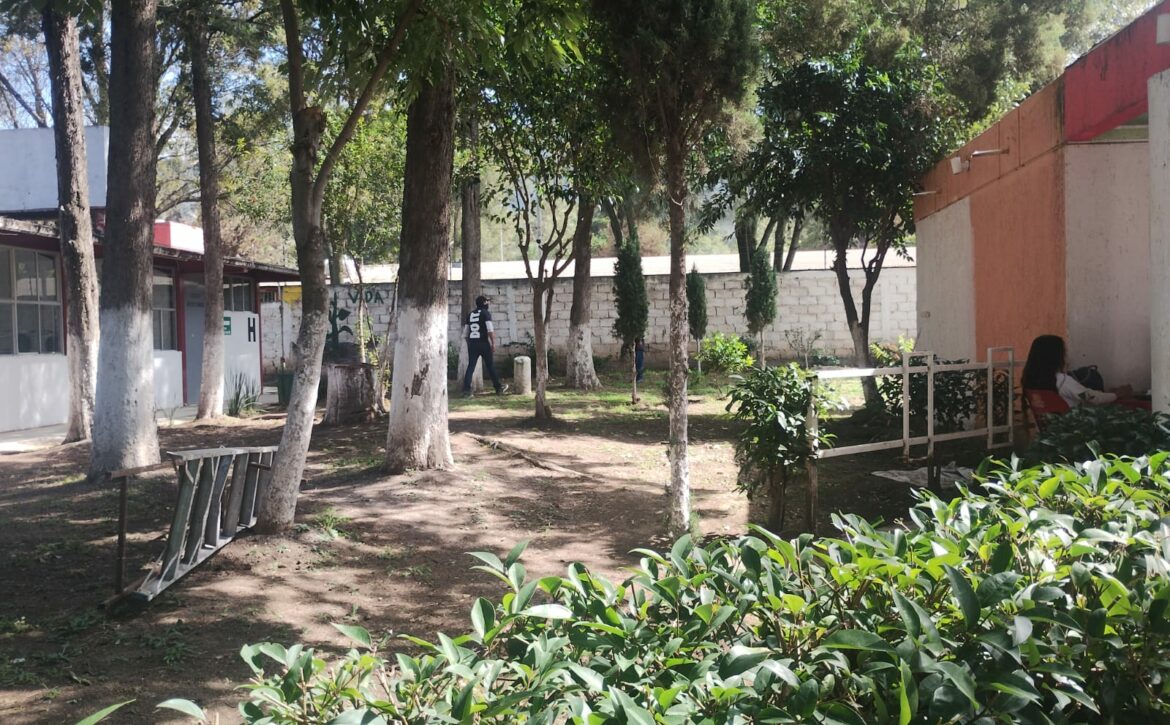 Boletin1044