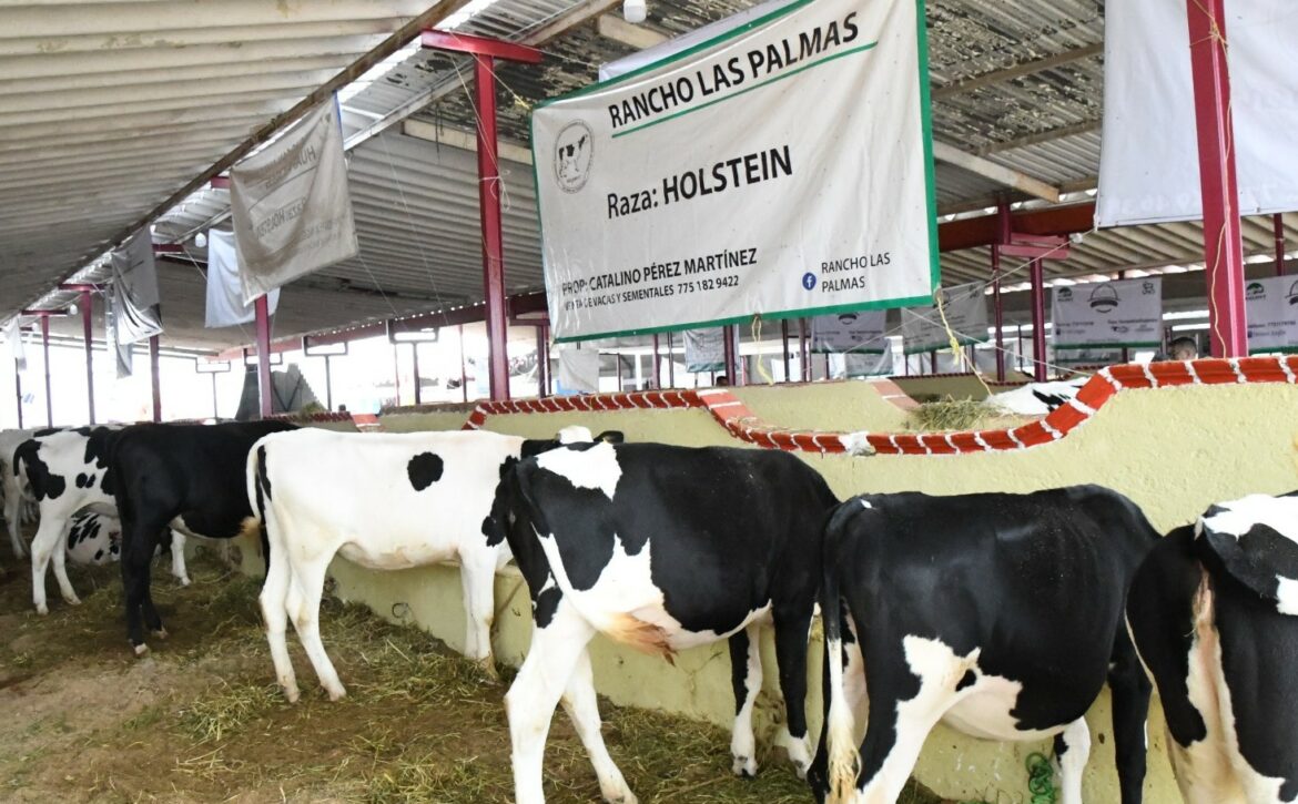 Boletin1069