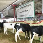 En colaboración con SADER Hidalgo este viernes en Tulancingo comenzará ciclo de capacitaciones a sector lechero