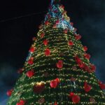 Este lunes Tulancingo ilumina la esperanza con el Encendido del Árbol Navideño en La Floresta