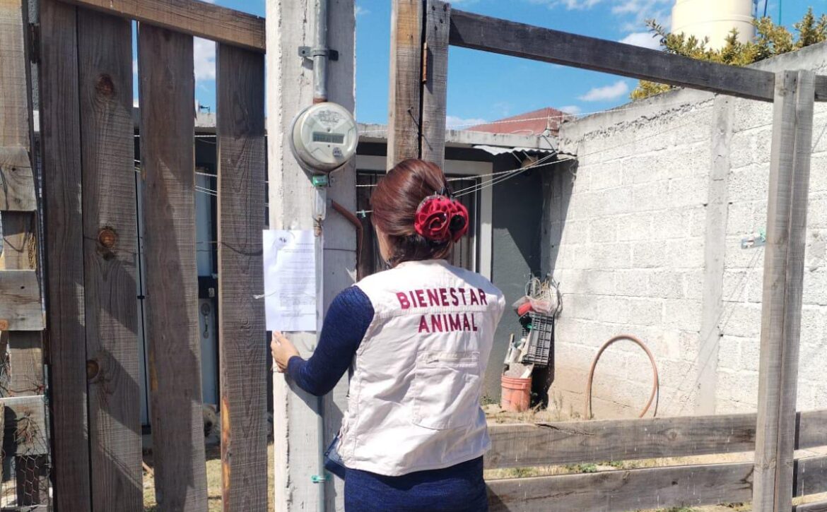 WhatsApp Image 2026-02-04 at 7.36.55 PM