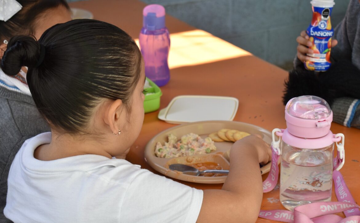 WhatsApp Image 2026-02-19 at 5.04.42 PM