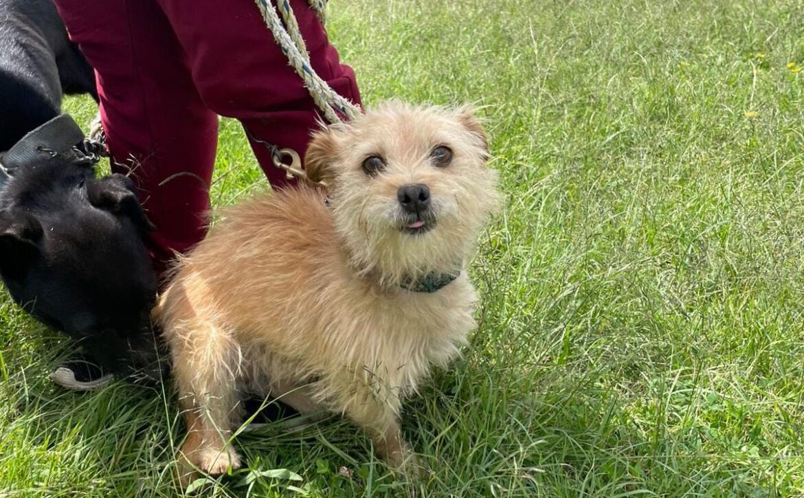 WhatsApp Image 2026-02-24 at 1.28.57 PM