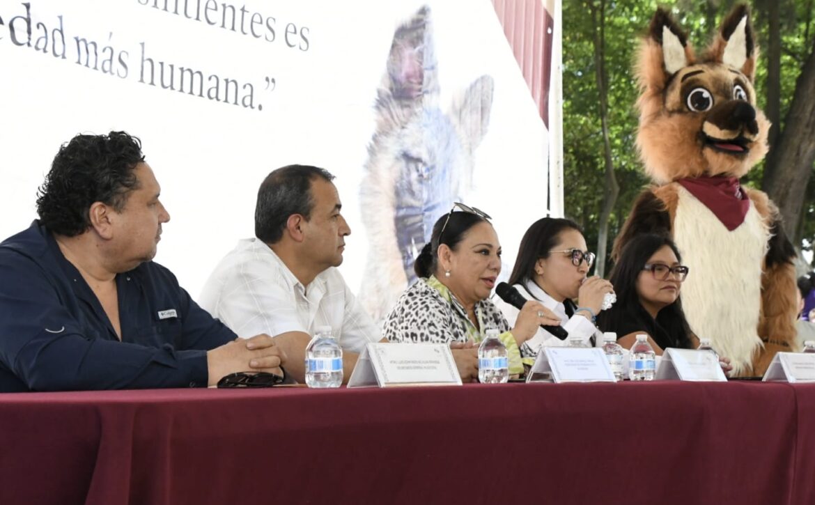 WhatsApp Image 2026-03-01 at 7.30.55 PM