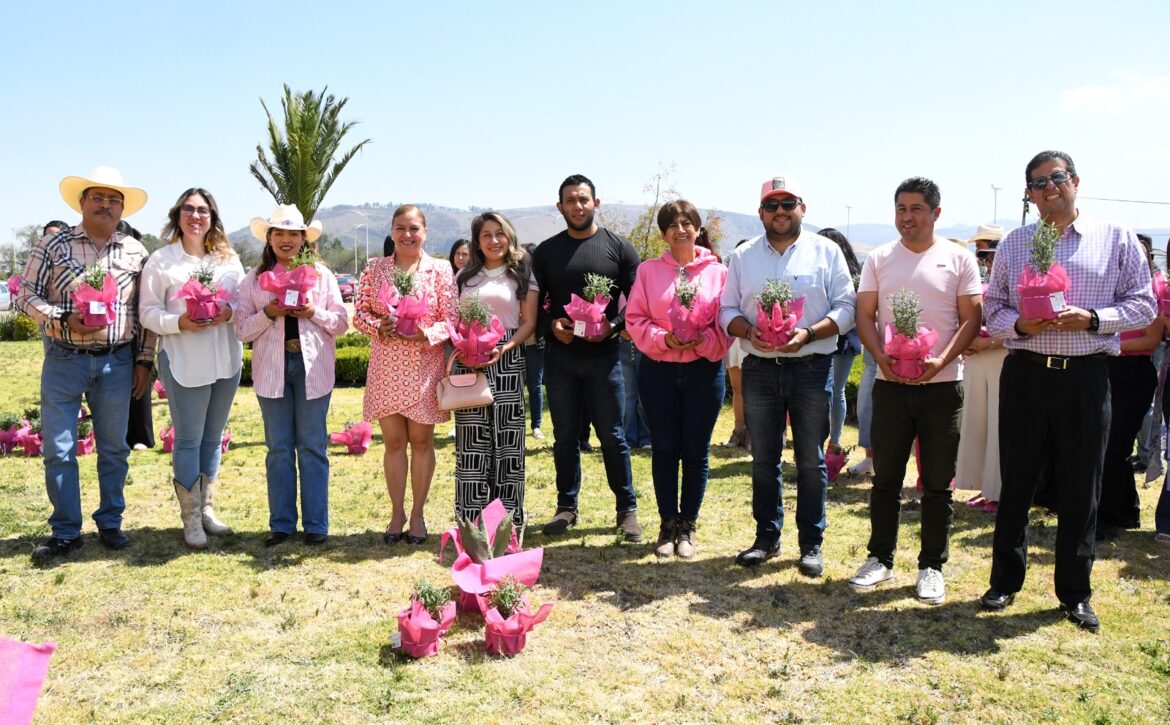 WhatsApp Image 2026-03-10 at 5.10.35 PM (2)