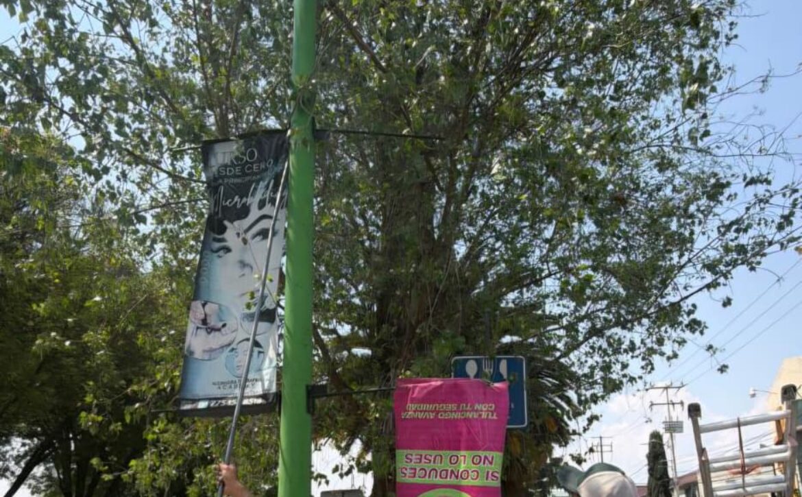 WhatsApp Image 2026-03-16 at 7.49.32 PM