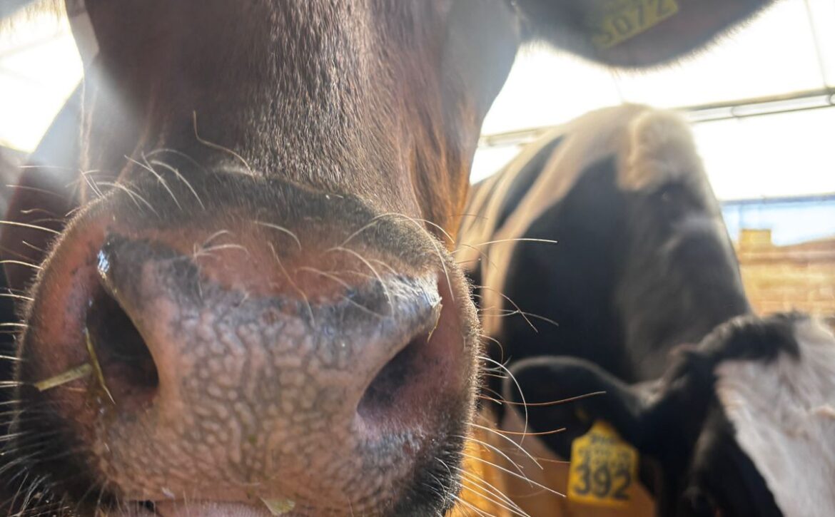 WhatsApp Image 2026-03-31 at 11.26.44 AM (4)