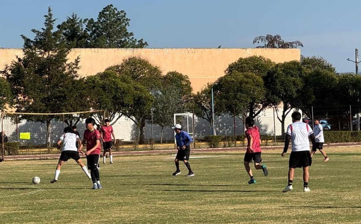 WhatsApp Image 2026-04-28 at 3.20.50 PM