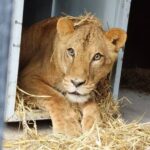 Zoológico de Tulancingo se suma a campaña nacional de PROFEPA para impulsar la cultura del reciclaje