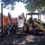 Tulancingo transforma la imagen con reforestación atinada en el bulevar Emiliano Zapata