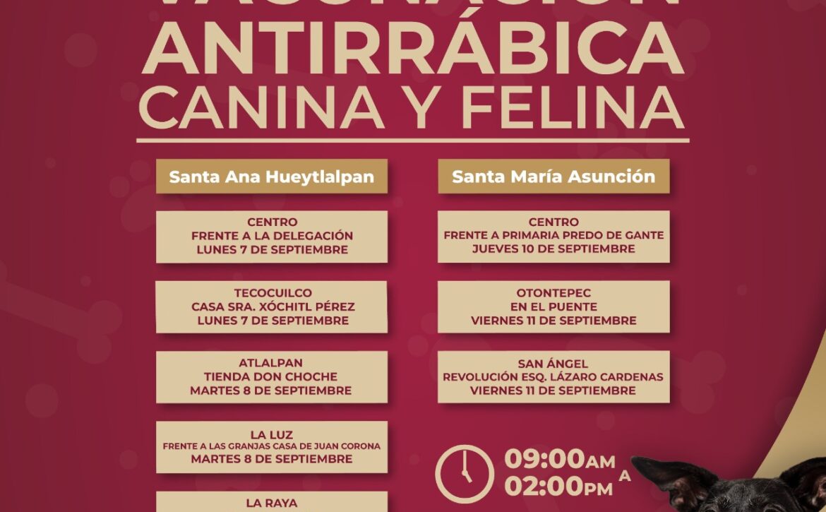 BoldePrensa15182026