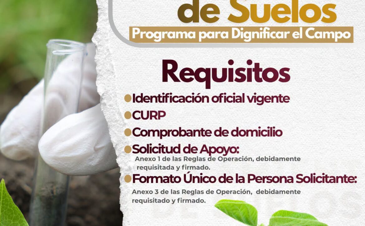 Bol. de Prensa No. 16022026 (1)